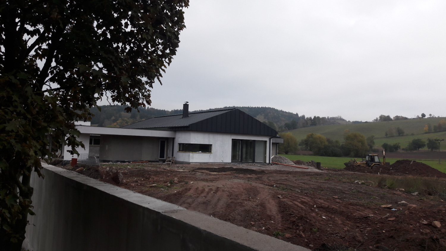 Rodinný dům, imitace dřevěných panelů, černá střecha